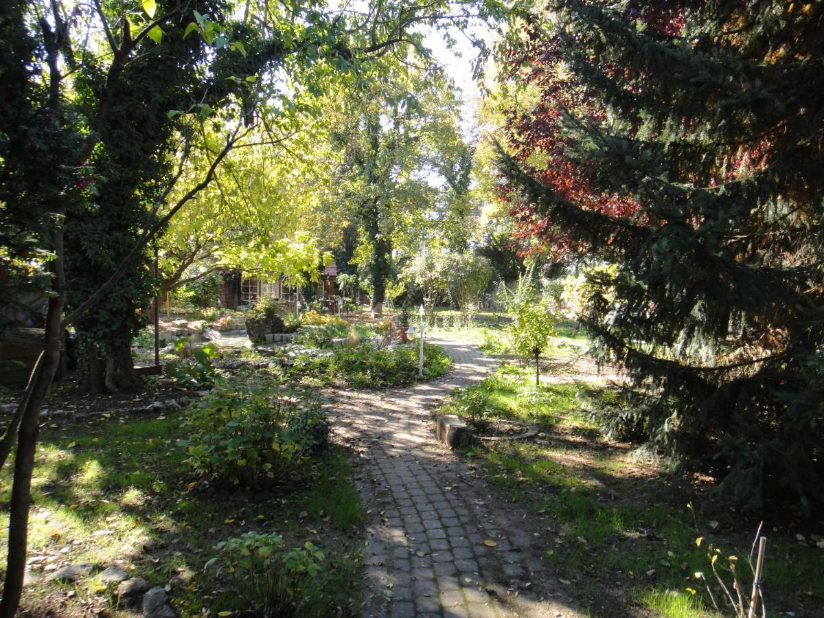 Oase In Mitten Der Stadt Апартаменты *
